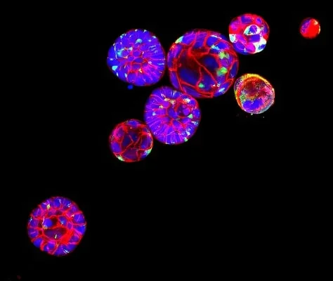  Welcome to your all-in-one destination in the Philippines! Settle into our welcoming accommodations, then treat your taste buds at our restaurant, featuring both elegant fine dining and authentic local cuisine, including special 8-course meals. Explore the islands with our tourist tours and car rentals, or let our shuttle service handle your transport. Find unique treasures in our handcrafted clothing line, unwind with yoga and massage, or catch some waves with our surfboard rentals. Join us at the bar, order takeaway, or book us for your next celebration or corporate event – we even offer magical beach dining setups. We also have a selection of reads and software in our bookstore and software store.